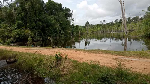 Fazenda Em Itaituba