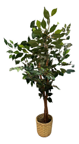 Ficus Planta Árbol Semi Artificial Con Maceta 135 Cms