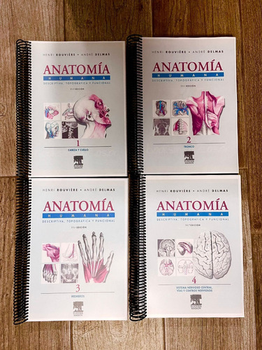 Anatomía Humana Autor Henri Rouviere 11ed Medicina Fmed Eutm