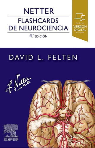 Netter Flashcards De Neurociencia 4ta Edición