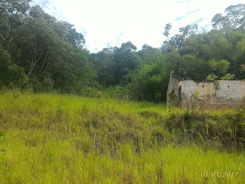 Imagem 9 de 12 de Vende Área Industrial Rodovia Presidente Dutra-sp 179.000m2