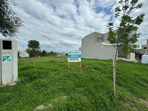 Lote En Venta En Tejas 4