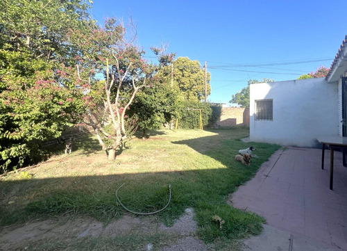 Venta 2 Casas De 2 Y 3 Dorm Patio Matienzo