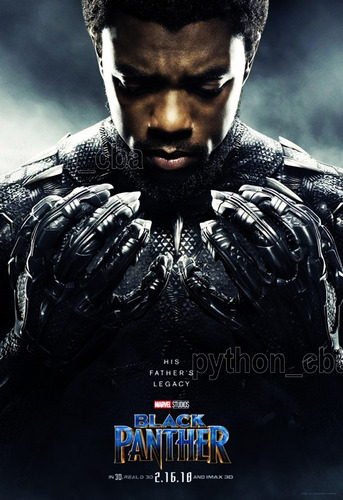 Pósters Black Panther - Pantera Negra - 120x85 - 2018