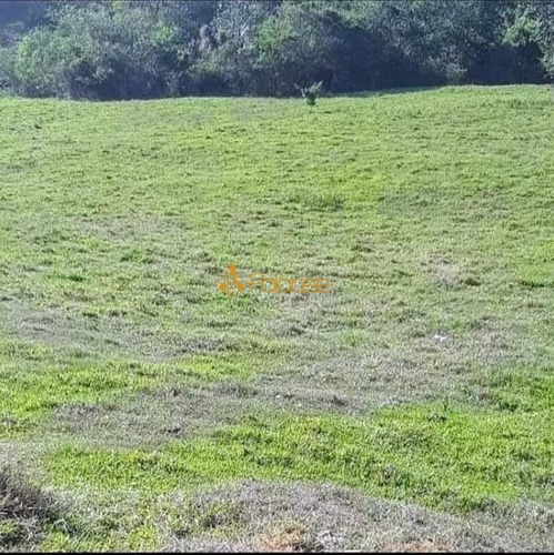 Imagem 4 de 7 de Rural Chacara - 977339-v