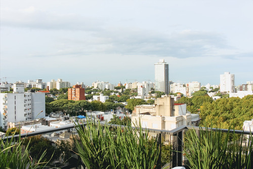 Alquiler Penthouse Amoblado Con Terraza Y Parrillero Cordon