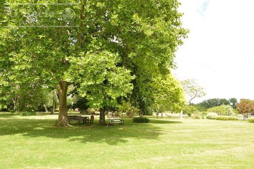 Imagen 4 de 14 de Excelente Lote En San Juan Chico Guillermo Hudson - Entrega Inmediata