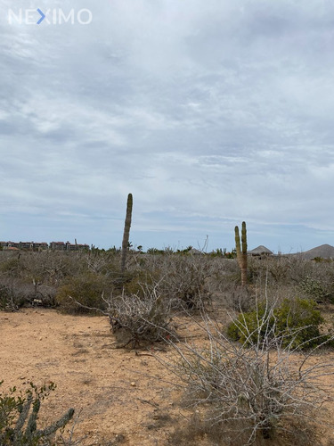 Imagen 6 de 7 de Terreno En Venta Ubicado En La Paz, Baja California Sur