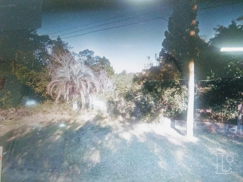 Terreno Em Hípica - Lu272882