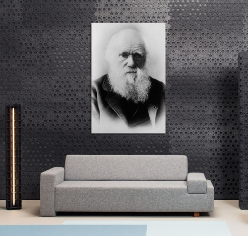 Vinilo Decorativo 40x60cm Charles Darwin Ciencia