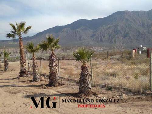Lote En Venta Cacheuta, Mendoza