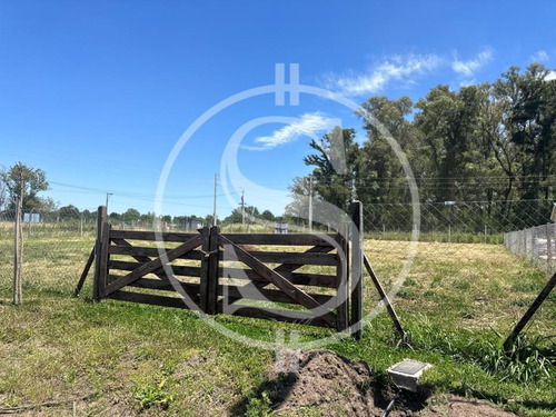 Terreno En Venta Los Pinos Sin Expensas Exaltacion
