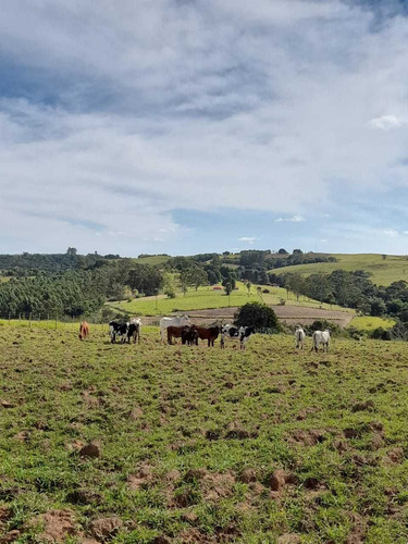 Imagem 11 de 14 de A/a Lotes Com Acesso Fácil À Sorocaba