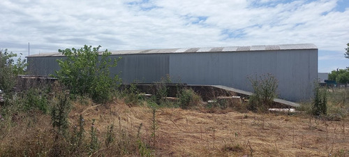 Imagen 7 de 11 de 160 E/67 Y 68 - Lote C/ Galpón - Baum Propiedades