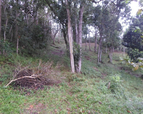 Imagem 4 de 20 de Sítio - 03819 - 33228923