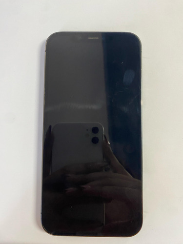 Apple Iphone 12 Pro (256gb) Grafito / Liberado / Detalle** Leer Descripcion Gris Oscuro (Reacondicionado)