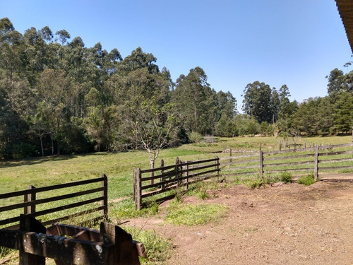 Chácara 16.000 M² - Rincão São João - Glorinha - Rs - 2238 - 34456025