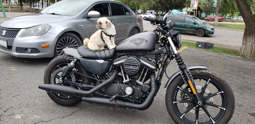 Imagen 6 de 6 de Harley Davidson Iron 883