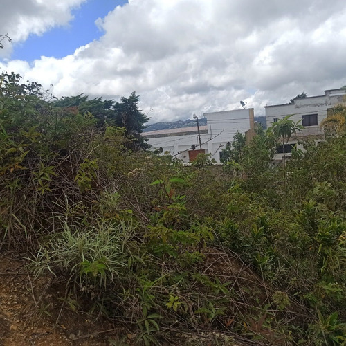 Imagen 8 de 17 de Espectacular Terreno En Venta Para La Construcción De Casa Residencial Club De Campo, Una De Las Mejores Urbanizaciones De Los Altos Mirandinos 23-2939