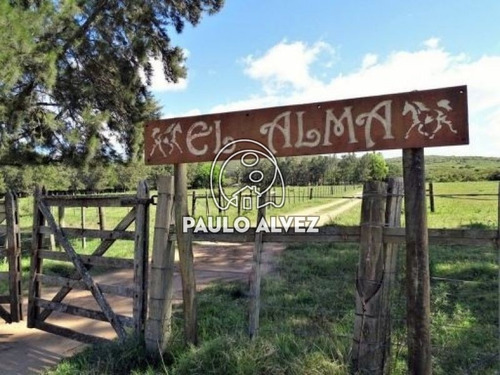 Chacras-alquiler-temporal-punta-negra-ch3036