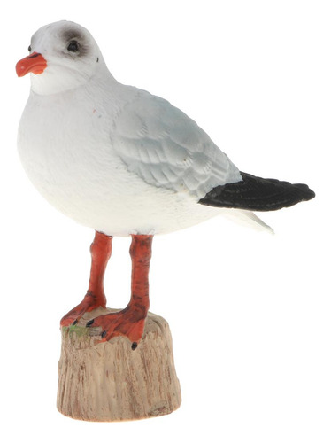 Figuras De Modelo De Gaviota De Cabeza Negra