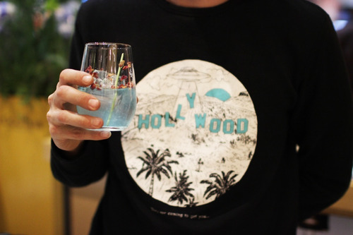 Imagen 5 de 8 de Set 6 Botanicos + Frutas Deshidratada Gin Tonic + Bosque Gin