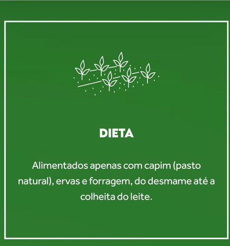 Whey Protein Grassfed Sabor Chocolate Belga 900g Puravida