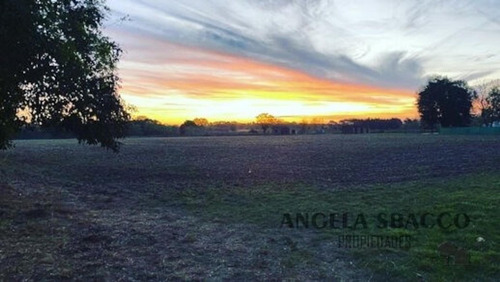Imagen 4 de 4 de Alquiler De Campo Parada Robles