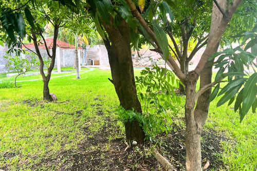 Terreno De 2,204 M² En Chiconcuac, Xochitepec, Morelos | Con Alberca Y Explanada Para Eventos