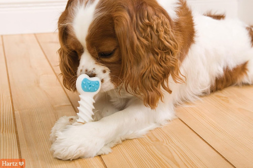 Juguete Masticable Para Perros Hartz Chew N Clean Twisty ...