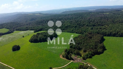 Sitio En Venta En Los Muermos. Llave En Mano.