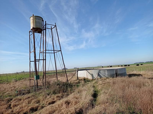Imagen 23 de 23 de Campo Agrícola En Gualeguaychú (camino De Rojas)