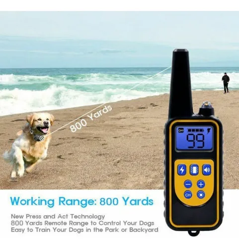 Un Juego De Choque Electrónico Para 2 Perros Collar De Entre