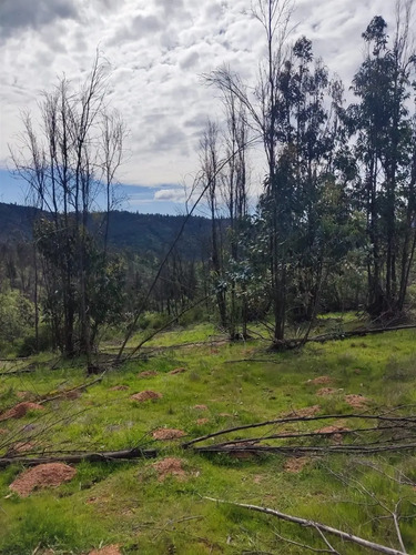 Terreno En Venta En Los Pinos De Reñaca