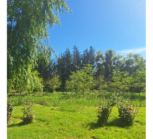 Vendo Hermosa Parc De 6.500 M2 Rol Propio Culipran Melipilla