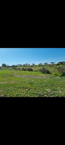 Parcela En La Estrella Vi Region A 38 Km De Pichilemu