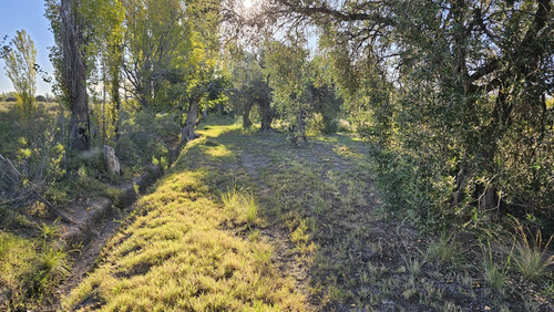 Gran Terreno O Lote De 2 Has En San Rafael Ideal Emprendimie