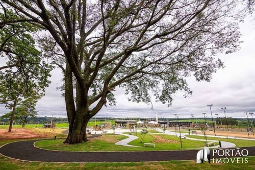 Imagem 10 de 15 de Lote / Terreno À Venda - Centro, Piratininga-sp - 5653