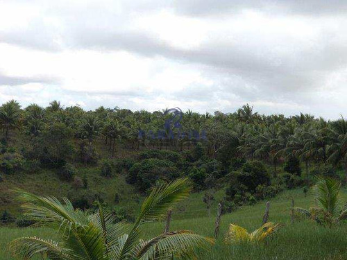 Imagem 12 de 23 de Terreno, Arembepe (abrantes), Camaçari - R$ 1.58 Mi, Cod: 68323 - V68323