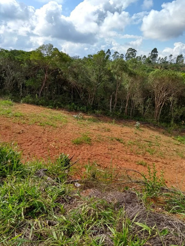 Imagem 3 de 11 de Terreno Lote Loteamento Fundo Para Área Preservada 6x25 Com 150,00 Metros Mensais De R$ 783,33 E Área De Lazer Cotia Sp