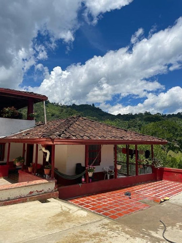 Finca Cafetera En Venta En Andes - Antioquia