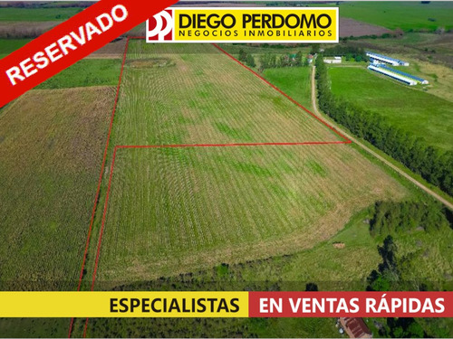 Chacra De 10ha En Venta, Colonia Italia