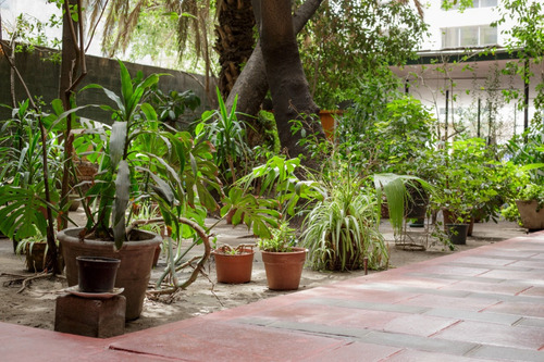 Local En Barrio Lastarria: Ideal Para Yoga O Talleres