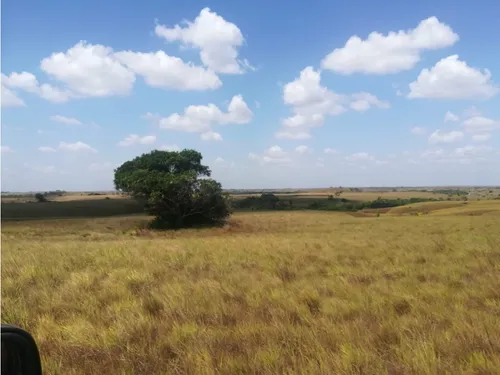 Excelente Finca En Venta, Puerto Lopez Meta
