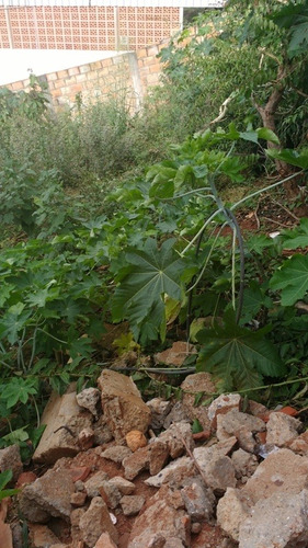 Imagem 18 de 21 de Lote Em Icaivera, Mais 45 Mil E Financiamento Pra Comprar Apartamento De 3 Quartos, 2 Vagas Em Contagem. - 1681