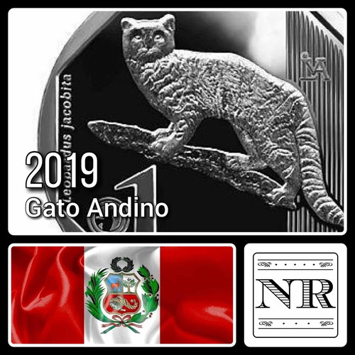 Imagen 1 de 4 de Peru - Gato Andino - Fauna Silvestre 1 Sol 2019