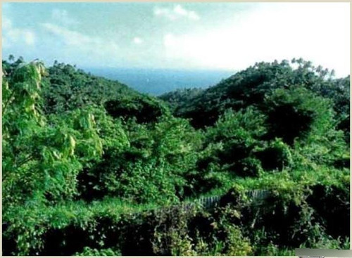 Vendo Terreno Puerto Bahía - Samanà