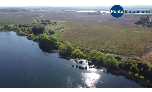 Imagen 2 de 13 de Rodeado De Lagunas. Apto Frutales.