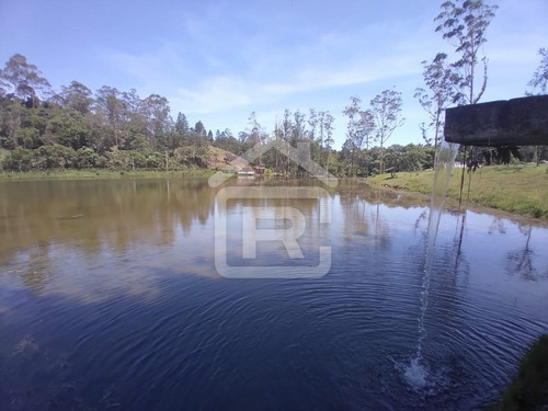 Imagem 15 de 30 de Lindo Sítio Em Juquitiba Com Imenso Lago, Piscina, Nascentes - 92 - 70323419
