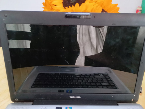 Toshiba Satellite L455d Sp5012m (Usado)